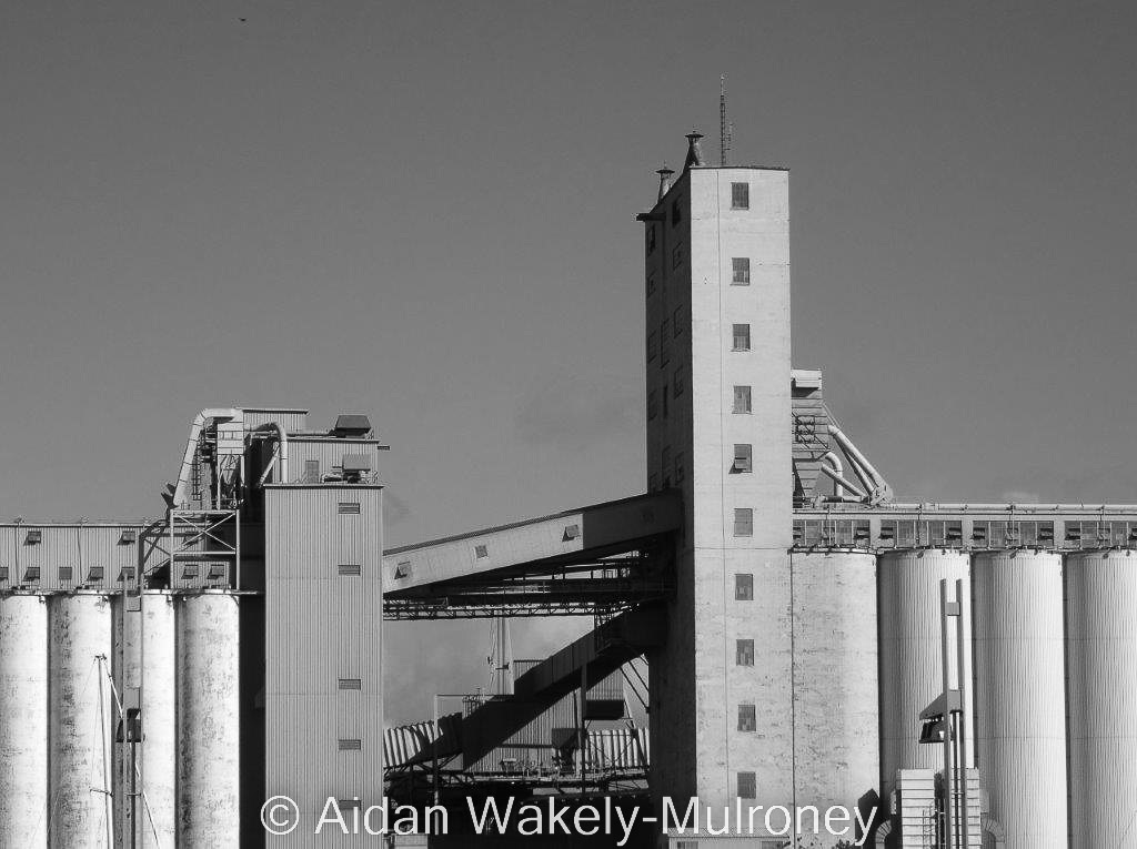 Black and white image showing details of a concrete grain elevator.