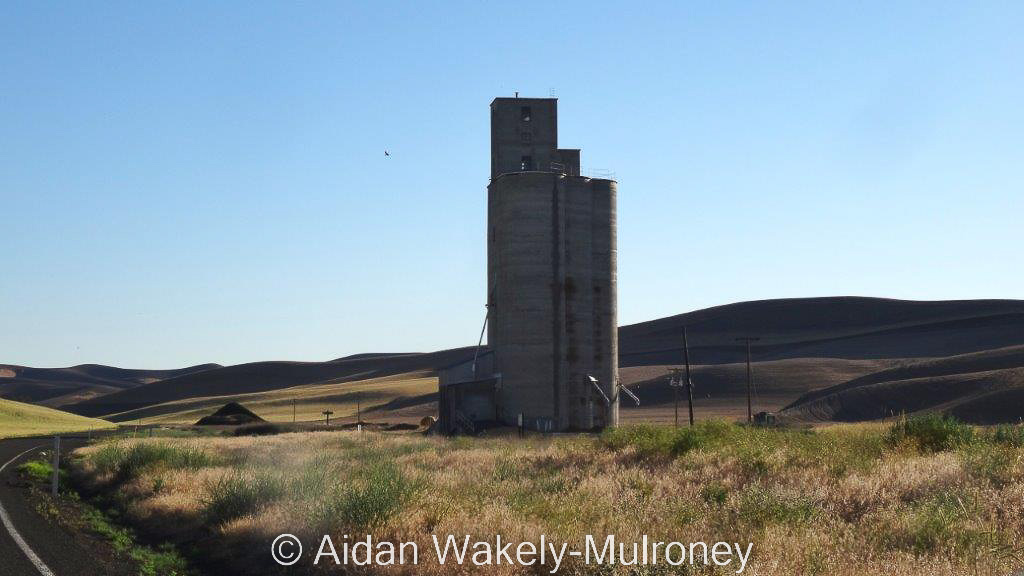 Backlit photograph of a concrete grain elevator in the Palouse region of the USA.