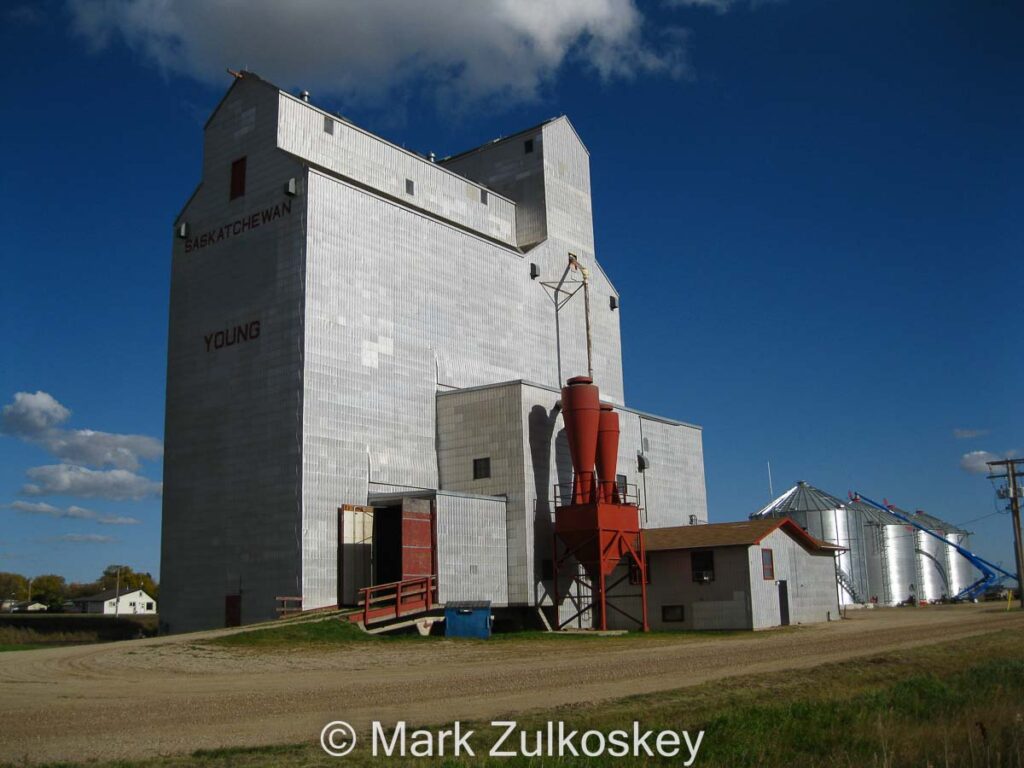 Colour photograph of wooden grain elevator with the town name YOUNG on the side.